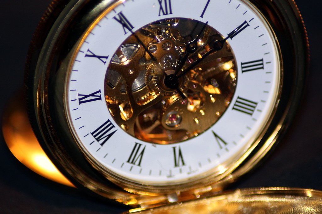 Fashion Watch Buying Guide: What Actually Matters at This Price Point